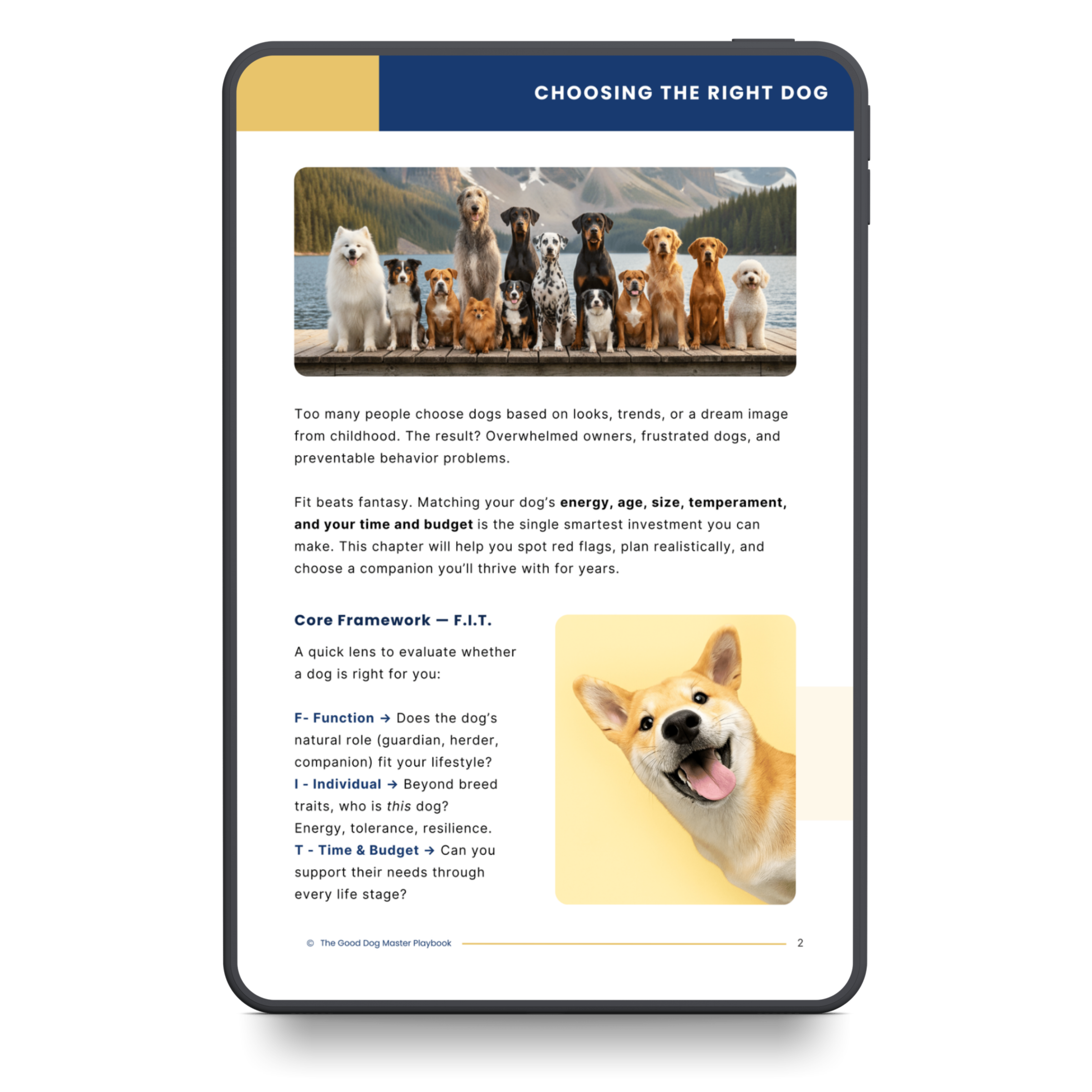 The Good Dog: Practical Training for Calm, Confident Dogs
