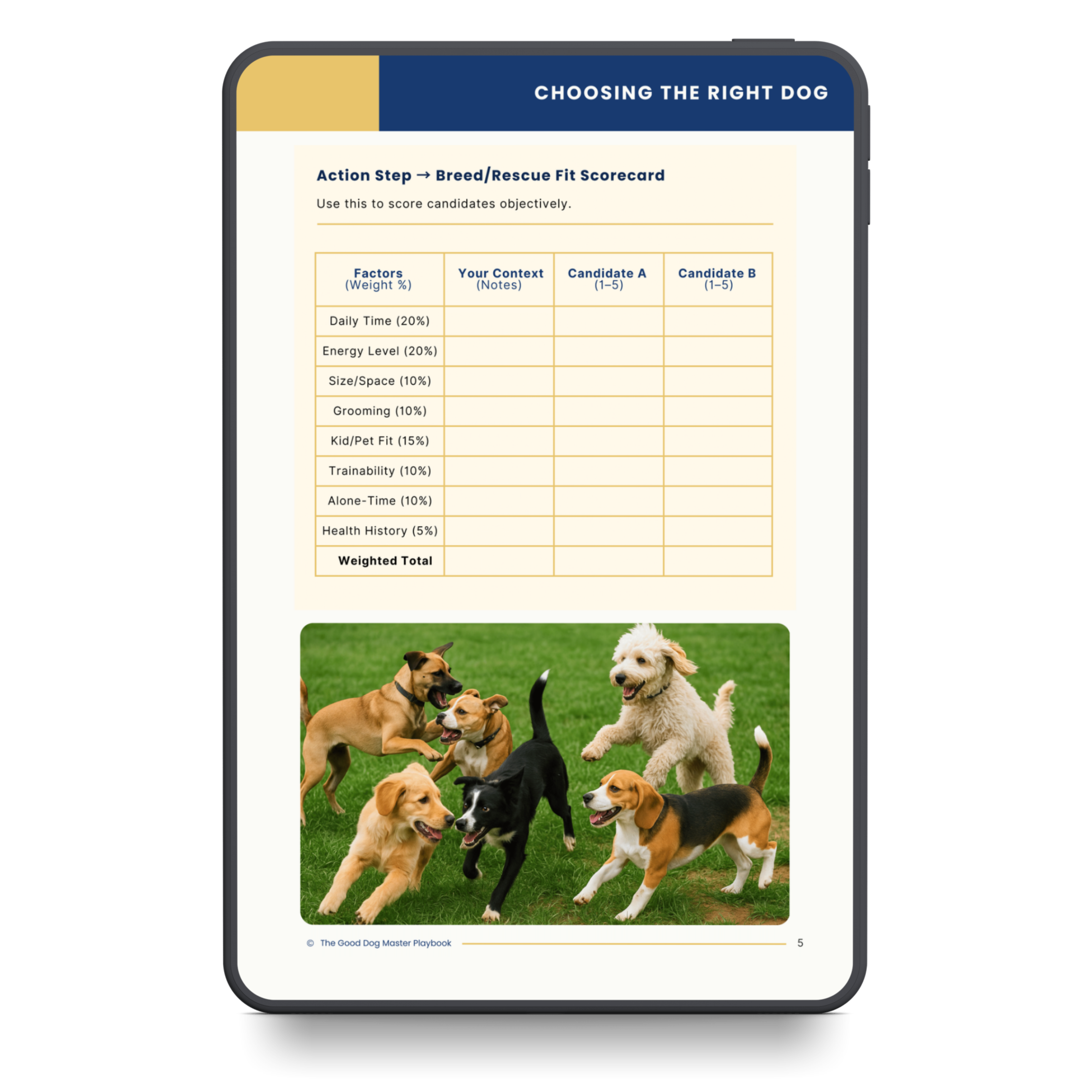 The Good Dog: Practical Training for Calm, Confident Dogs